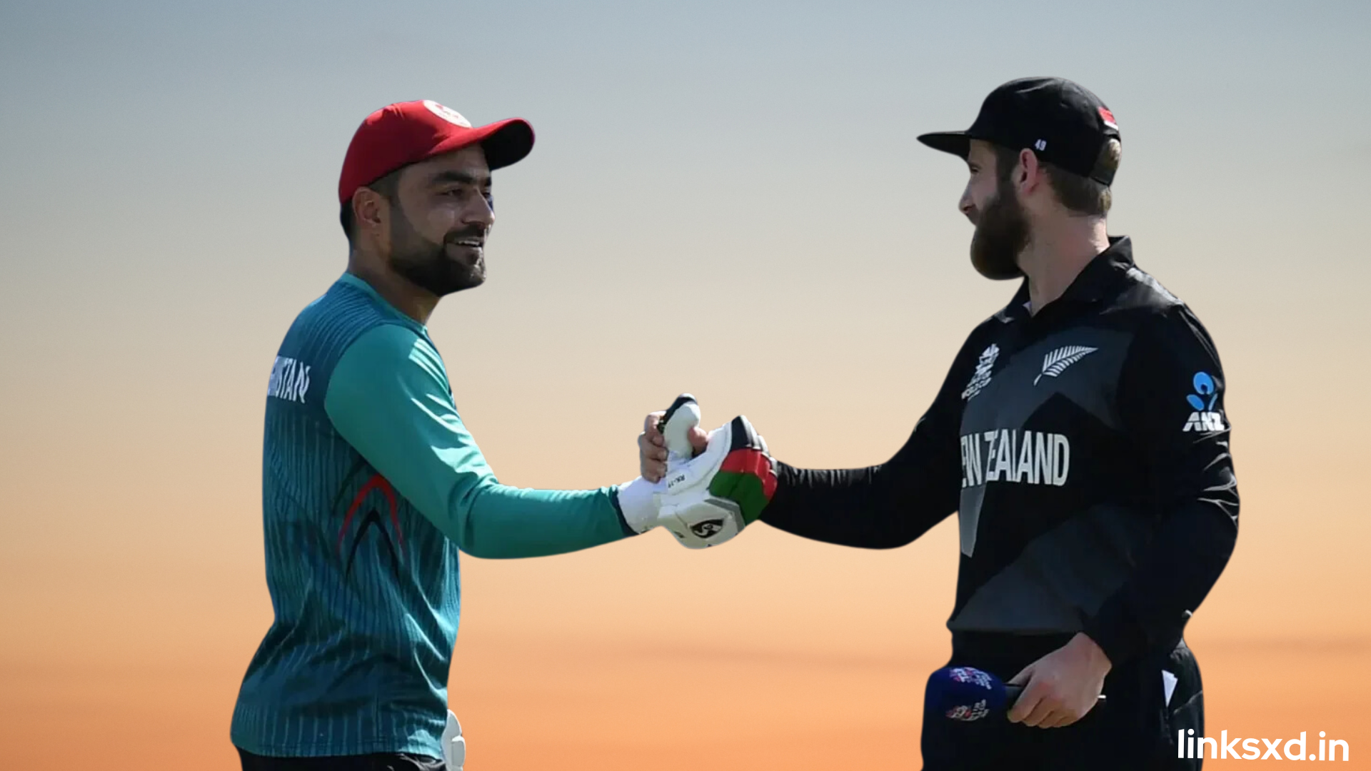 Afghanistan Vs New Zealand